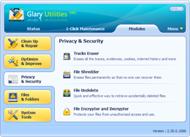 Glary Utilities Pro Screenshots - Privacy and Security